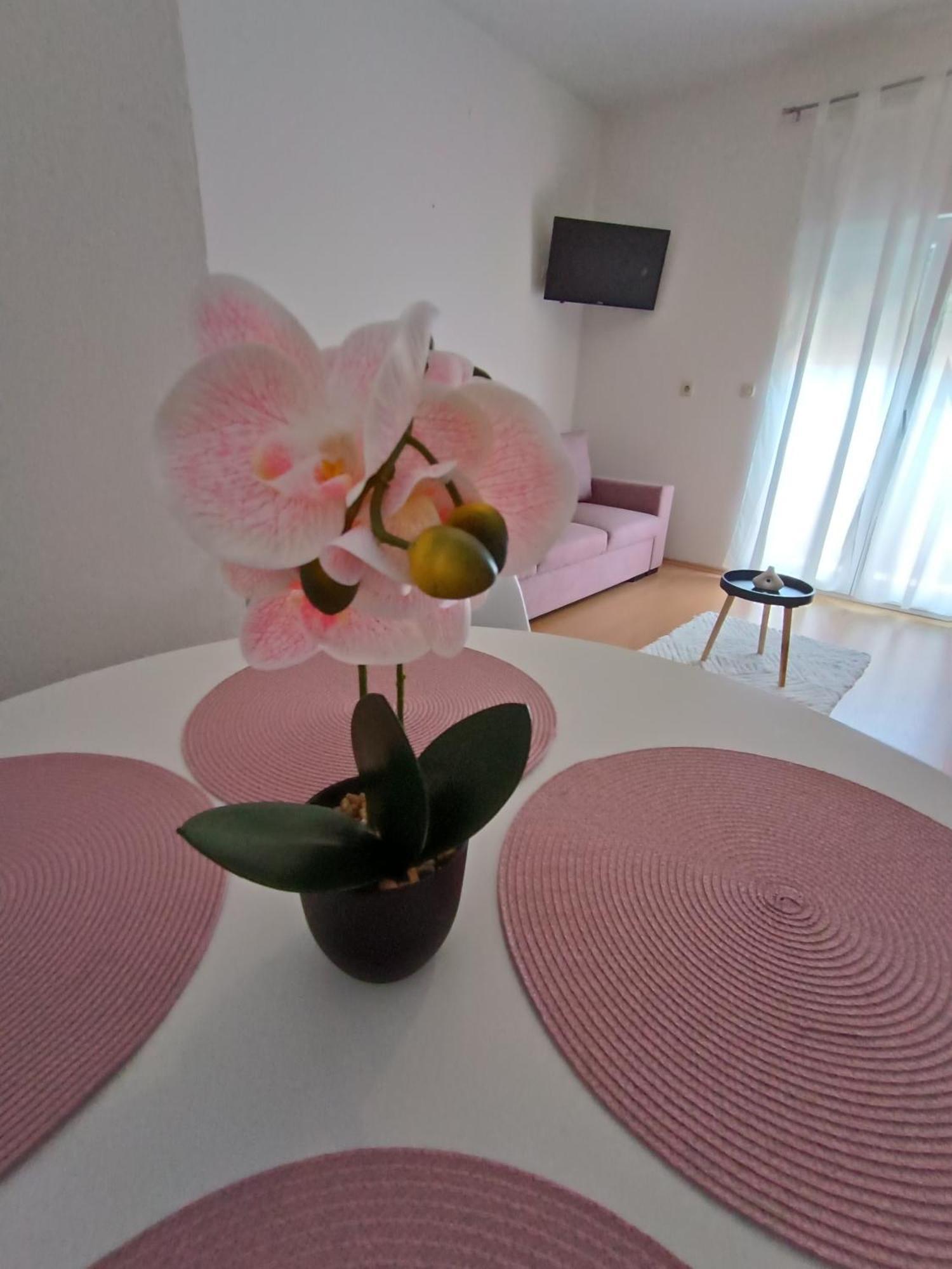 Apartman Lea Sukošan Esterno foto